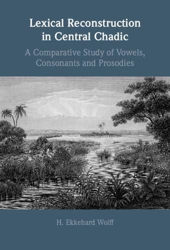 Lexical Reconstruction in Central Chadic By Ekkehard Wolff (Hardback)