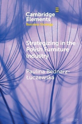 Strategizing in the Polish Furniture Industry 9781009479400 (Hardback)