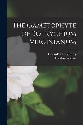 Gametophyte of Botrychium Virginianum [microform] By Jeffrey