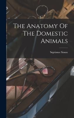 Anatomy Of The Domestic Animals By Sisson 9781015534377 (Hardback)