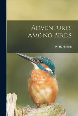 Adventures Among Birds By Hudson 9781015712102 (Paperback)