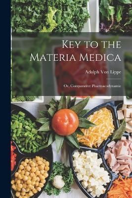Key to the Materia Medica By Von Lippe 9781015715004 (Paperback)