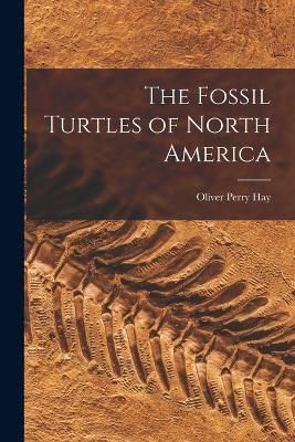 Fossil Turtles of North America By Hay 9781015721418 (Paperback)