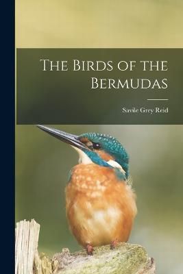 Birds of the Bermudas By Reid 9781016387651 (Paperback)