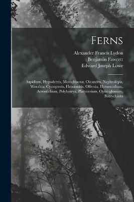 Ferns By Lowe 9781017619171 (Paperback)