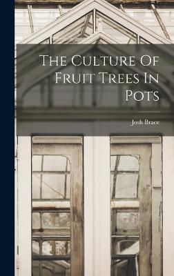 Culture Of Fruit Trees In Pots By Brace 9781018177274 (Hardback)