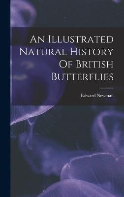 Illustrated Natural History Of British Butterflies By Newman