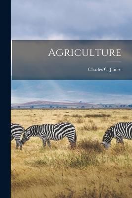 Agriculture By James 9781018489186 (Paperback)