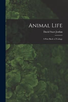 Animal Life By Jordan 9781018937083 (Paperback)