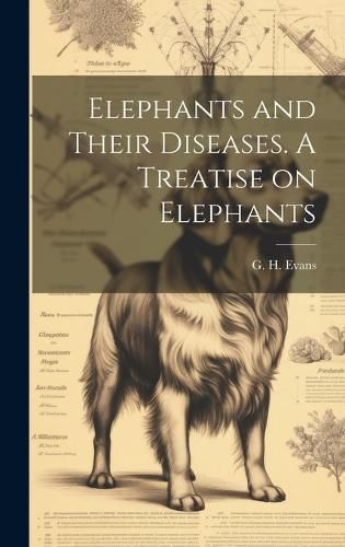Elephants and Their Diseases. A Treatise on Elephants By Evans