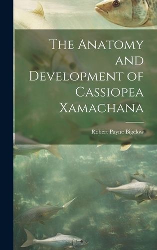 Anatomy and Development of Cassiopea Xamachana By Bigelow (Hardback)