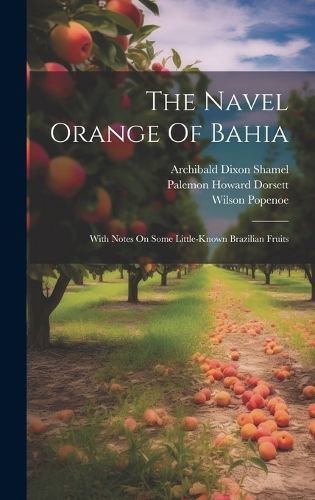 Navel Orange Of Bahia By Dorsett 9781020163340 (Hardback)