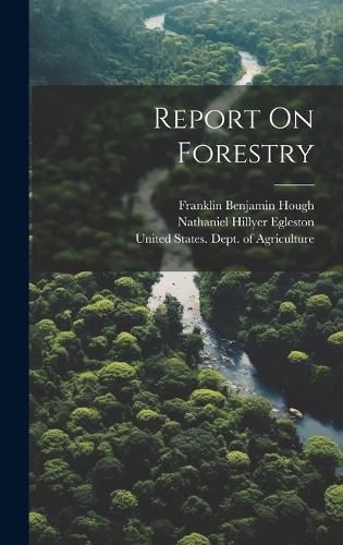 Report On Forestry By United States Forest Service 9781020409301