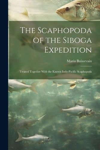 Scaphopoda of the Siboga Expedition By Boissevain 9781021494580
