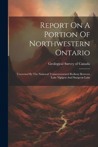 Report On A Portion Of Northwestern Ontario 9781022322899 (Paperback)