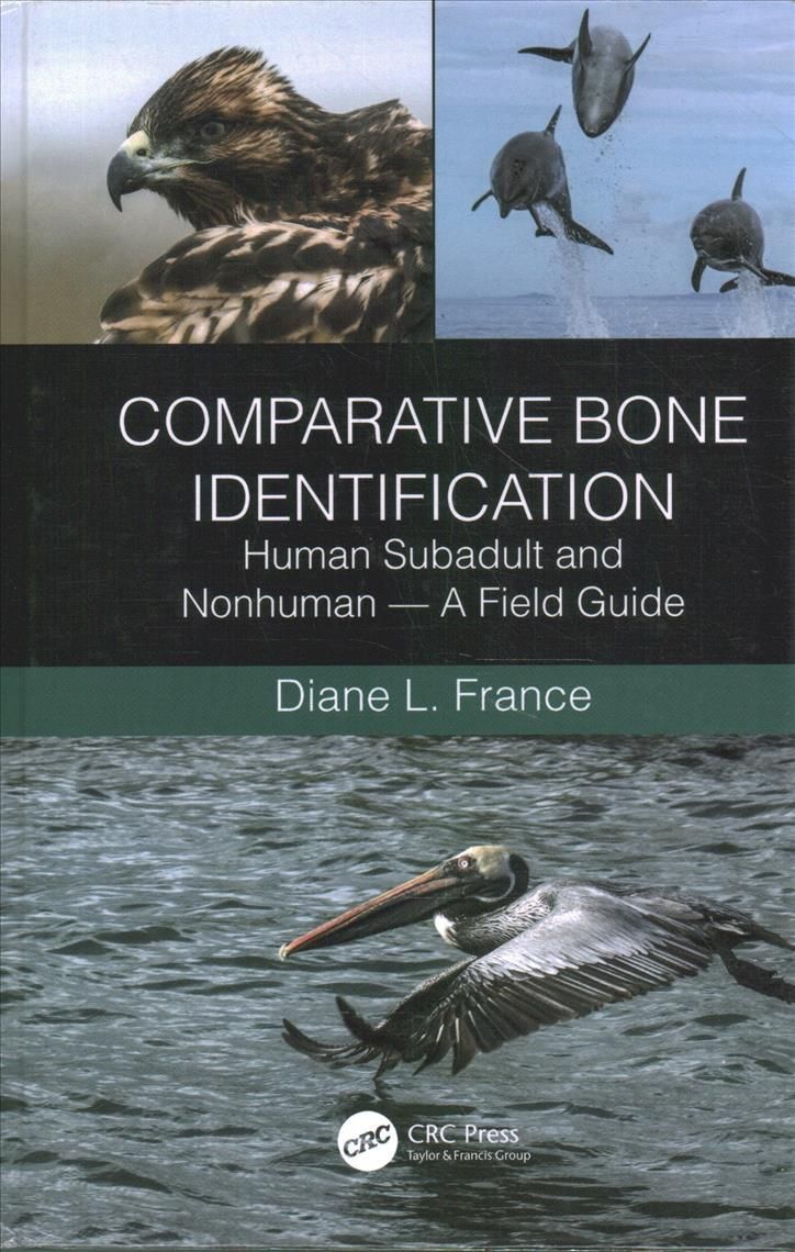 Comparative Bone Identification By Diane L. France 9781032041322