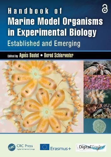 Handbook of Marine Model Organisms in Experimental Biology (Paperback)