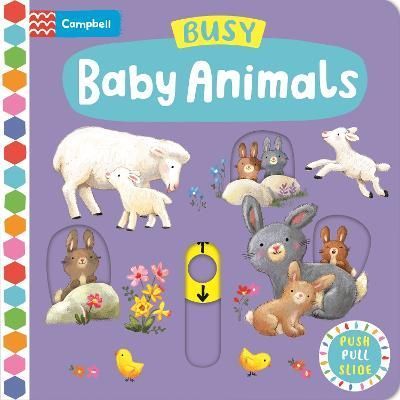 Busy Baby Animals By Ag Jatkowska (artist) 9781035004706 (Board book)