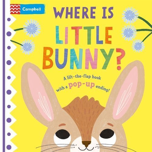 Where Is Little Bunny? 9781035022878 (Board book)