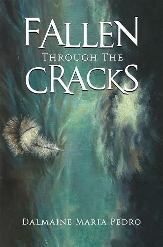 Fallen Through The Cracks By Dalmaine Maria Pedro 9781035803903