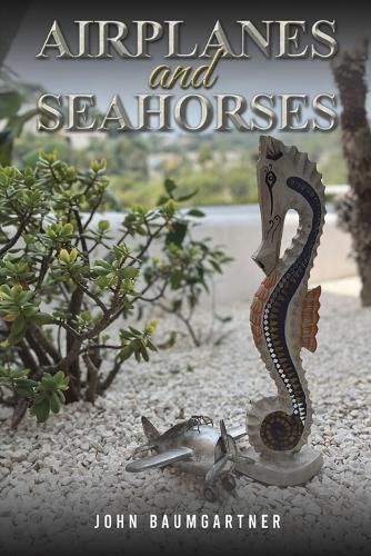 Airplanes and Seahorses By John Baumgartner 9781035820627 (Paperback)
