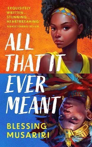 All That It Ever Meant By Blessing Musariri 9781035902477 (Hardback)