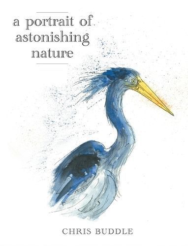 Portrait of Astonishing Nature By Buddle 9781038300928 (Hardback)