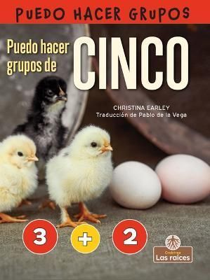 Puedo Hacer Grupos De Cinco 9781039615014 (Hardback)