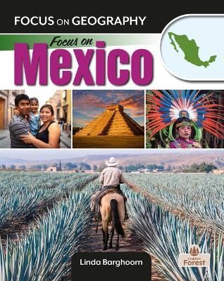 Focus on Mexico By Linda Barghoorn 9781039663169 (Hardback)