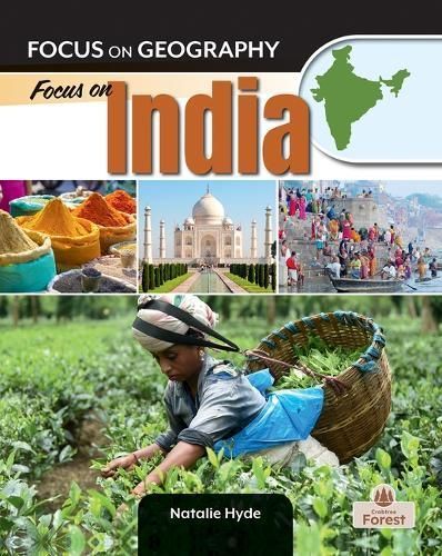 Focus on India By Natalie Hyde 9781039842922 (Hardback)