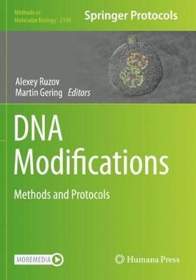 DNA Modifications By Alexey Ruzov (editor), Martin Gering (editor)