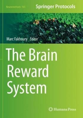 The Brain Reward System By Marc Fakhoury (editor) 9781071611487