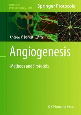 Angiogenesis By Andrew V. Benest (editor) 9781071620588 (Hardback)