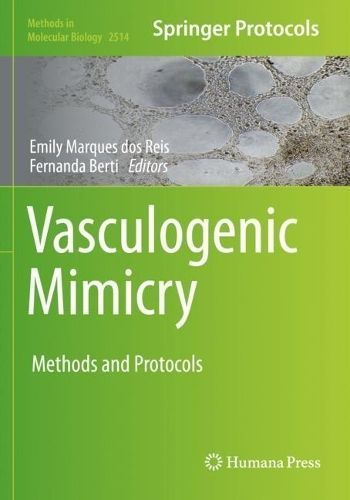 Vasculogenic Mimicry By Emily Marques dos Reis 9781071624050