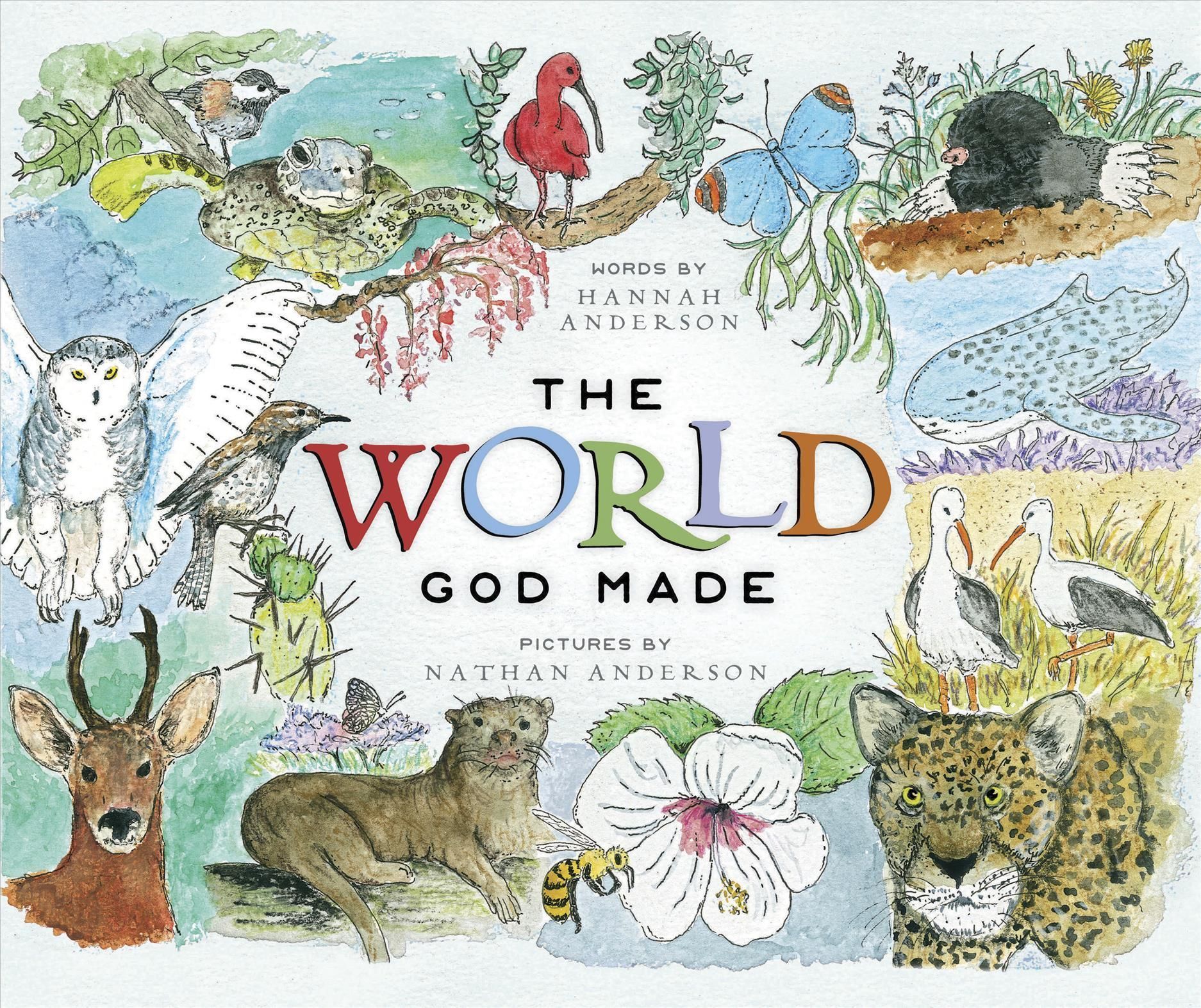 The World God Made 9781087769806 (Hardback)