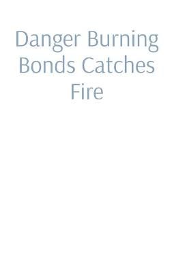 Danger Burning Bonds Catches Fire By Cook 9781087912141 (Hardback)
