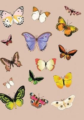 Metamorphosis Journal By Player, Tori 9781087939827 (Paperback)