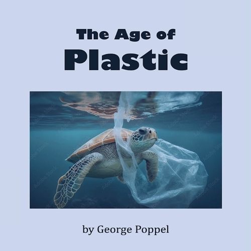Age of Plastic By Popple 9781088215999 (Paperback)