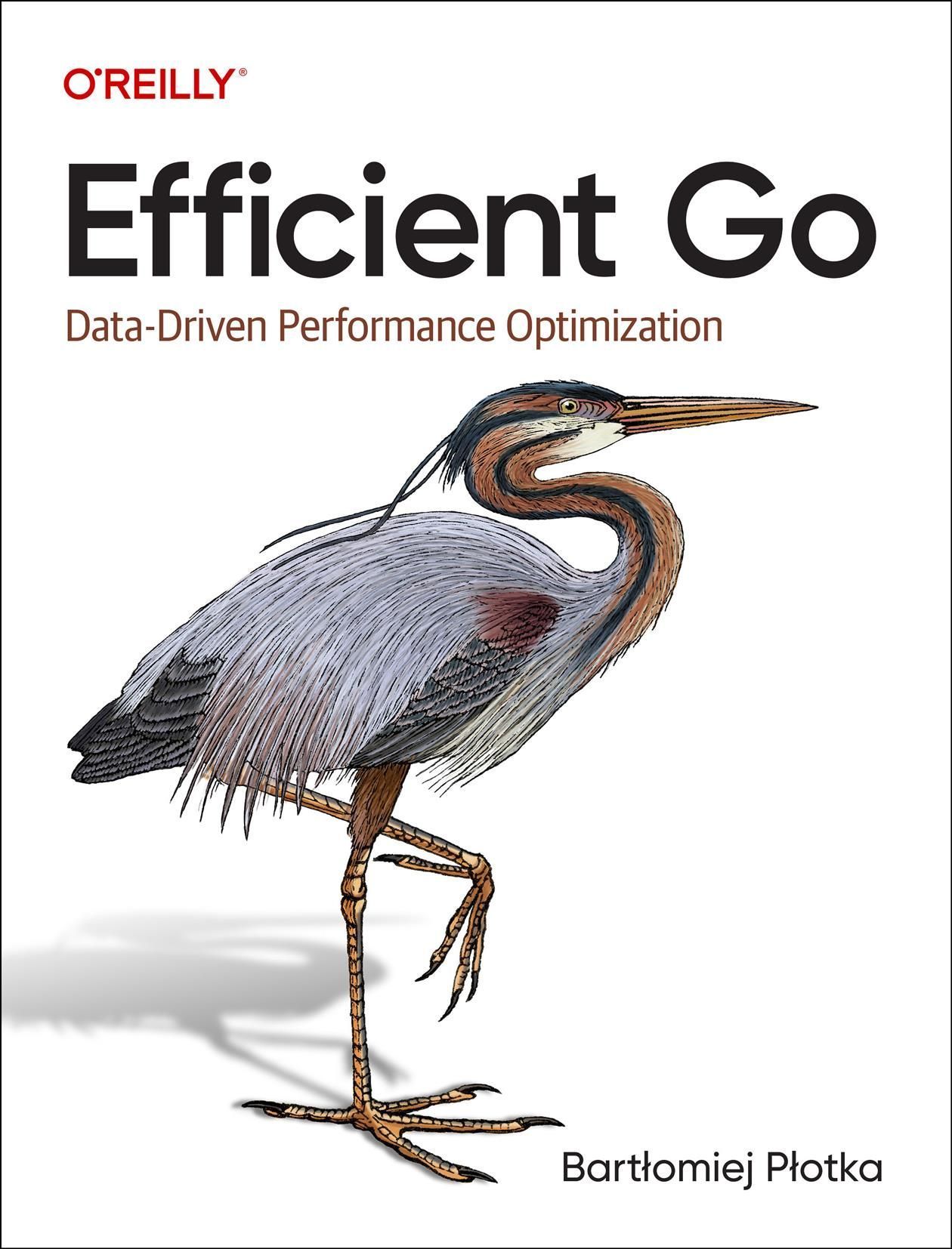 Efficient Go By Bartlomiej Plotka 9781098105716 (Paperback)
