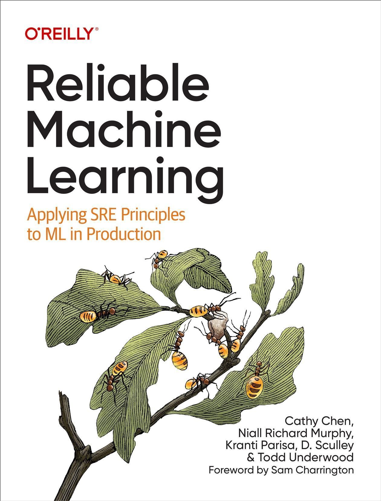 Reliable Machine Learning 9781098106225 (Paperback)