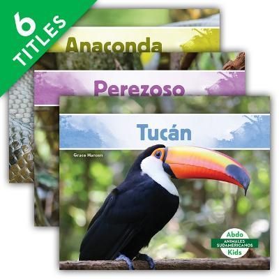 Animales Sudamericanos (South American Animals) (Set) By Hansen, Grace