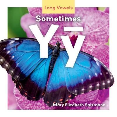 Sometimes Yy By Mary Elizabeth Salzmann 9781098282660 (Hardback)