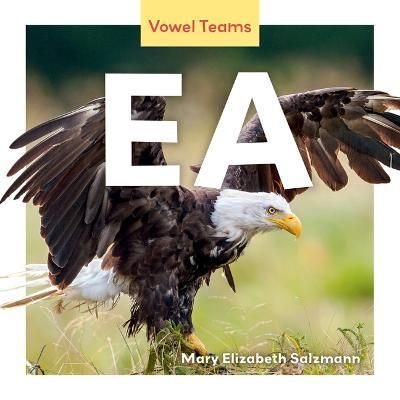 EA By Mary Elizabeth Salzmann 9781098282837 (Hardback)