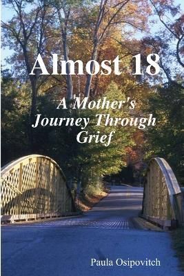 Almost 18 " A Mother's Journey Through Grief " 9781105694042