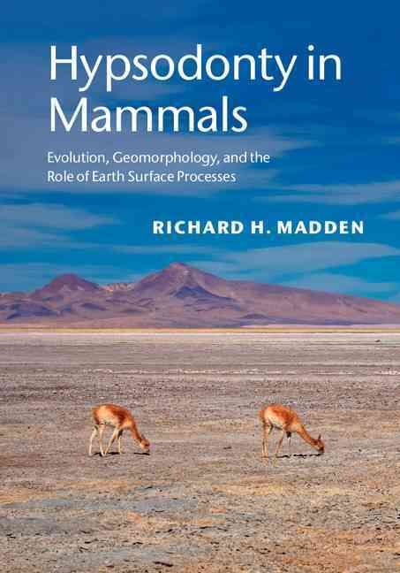 Hypsodonty in Mammals By R. H. Madden 9781107012936 (Hardback)
