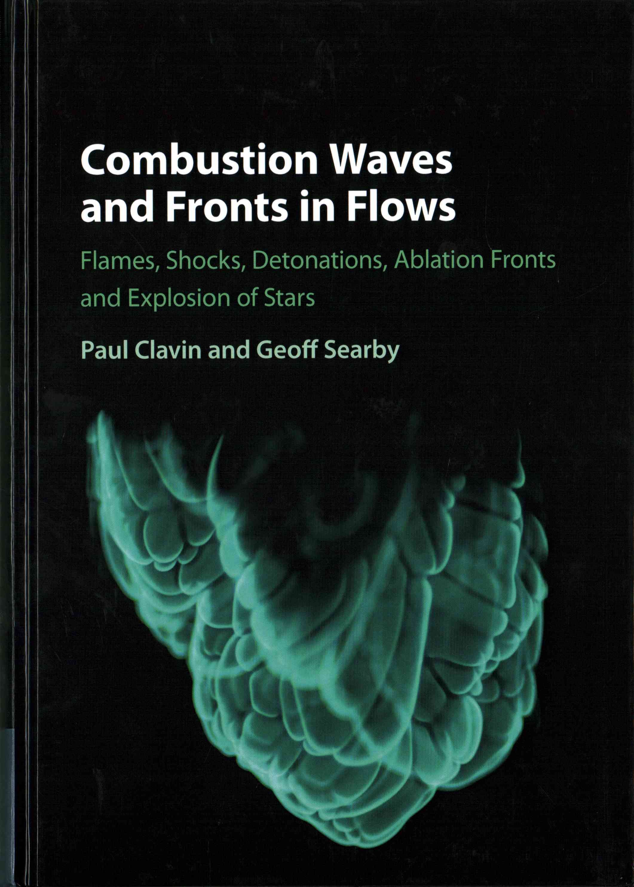 Combustion Waves and Fronts in Flows By Paul Clavin, Geoff Searby