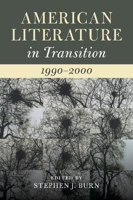 American Literature in Transition, 1990-2000 By Stephen Burn (editor)