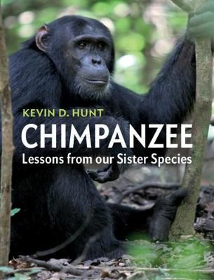 Chimpanzee By Kevin D. Hunt 9781107544413 (Paperback)