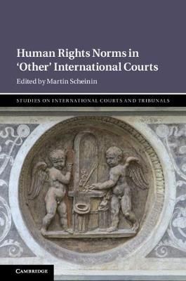 Human Rights Norms in 'Other' International Courts 9781108499736
