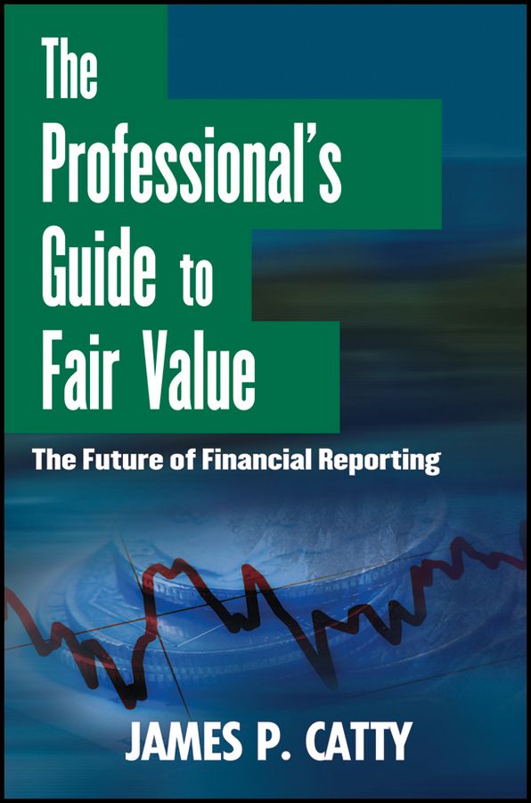 The Professional's Guide to Fair Value By James P. Catty 9781118004388